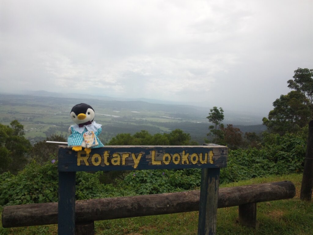Rotary Lookout